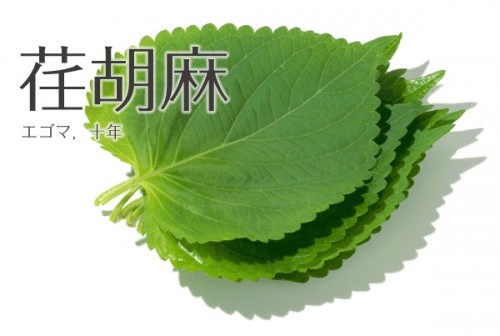エゴマ