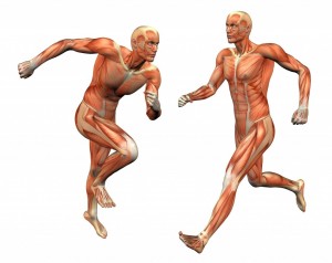 oxigendiet